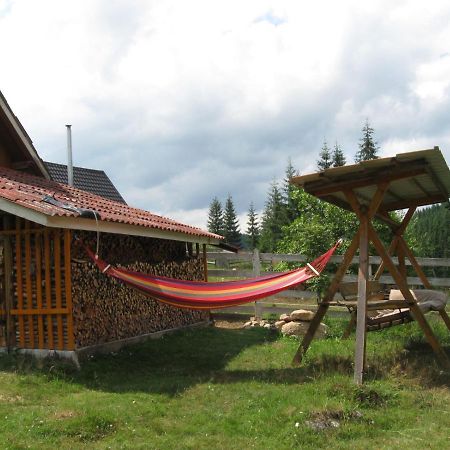 Podina Guest House Poiana Horea Экстерьер фото