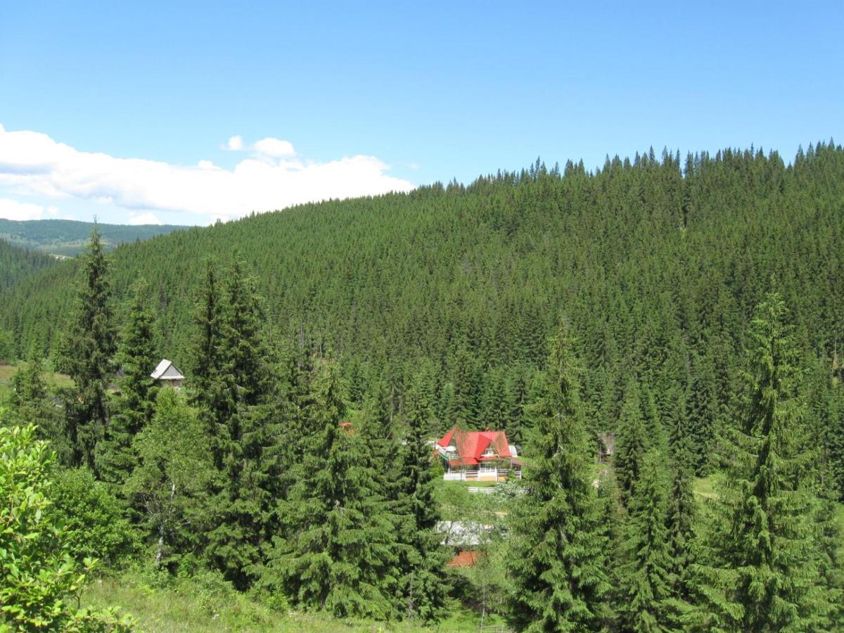 Podina Guest House Poiana Horea Экстерьер фото