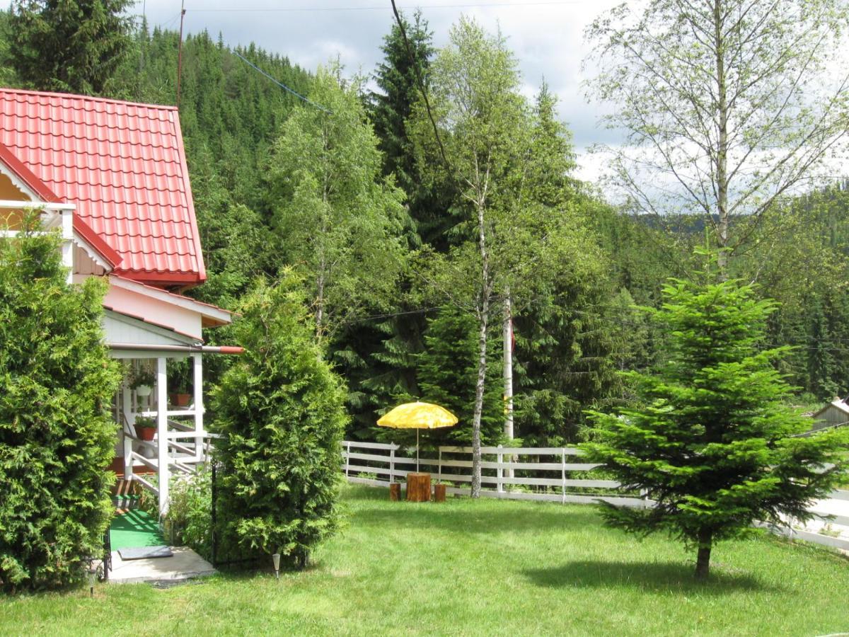 Podina Guest House Poiana Horea Экстерьер фото