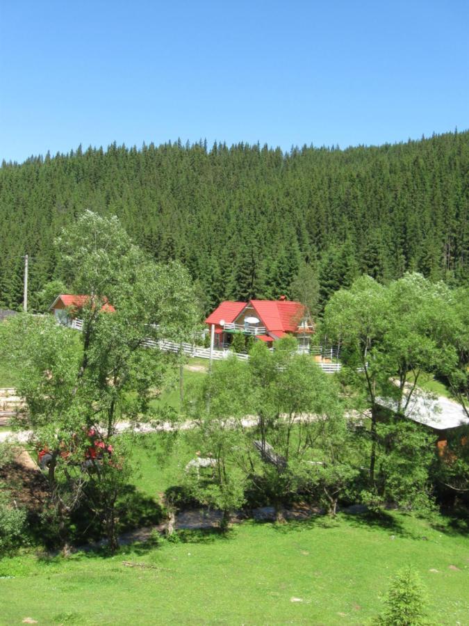 Podina Guest House Poiana Horea Экстерьер фото