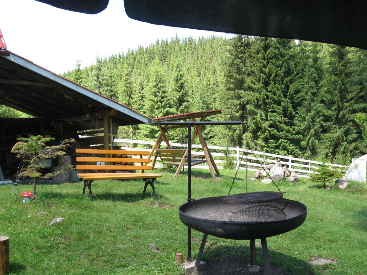 Podina Guest House Poiana Horea Экстерьер фото
