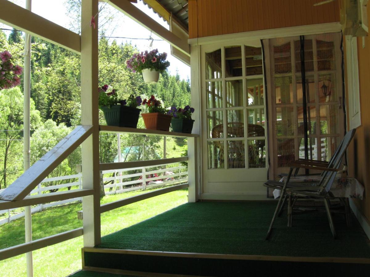 Podina Guest House Poiana Horea Экстерьер фото